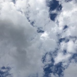 Meet your Posher, Celia